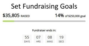 Set Fundraising Goals for the Capital Campaign